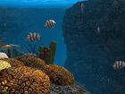 OceanDive