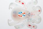 octobot