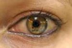 Oeil - Yeux