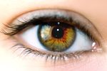 oeil