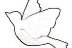 Oiseau