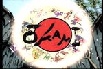 Okami Wii (4)