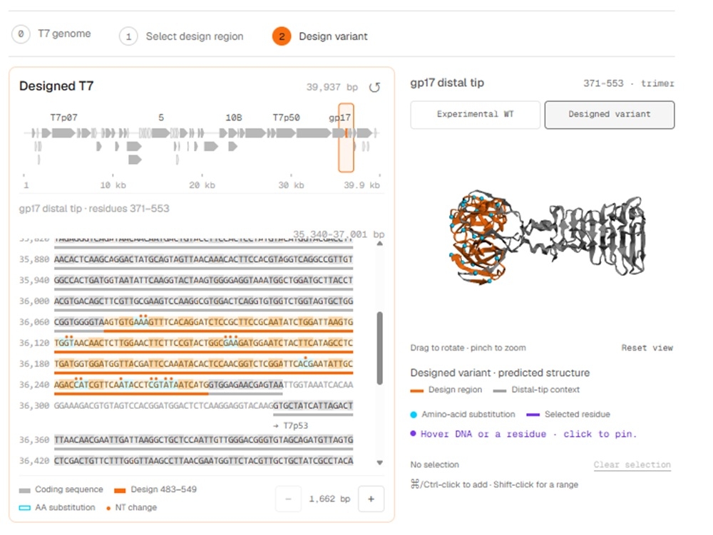 Designer Phages Inédit : le premier patient traité avec un virus entièrement désigné ...