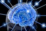 Ondes cerebrales