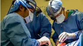 Une première médicale : un patient survit 48 heures sans poumons avant sa greffe