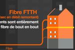 Orange fibre