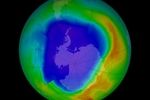 ozone-2013_0