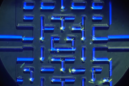 Pac-Man-micro-organismes