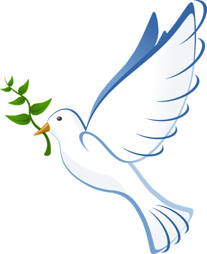 paix-colombe
