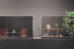 Panasonic OLED transparent