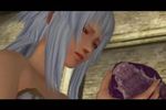Pandora\'s Tower Wii (14)