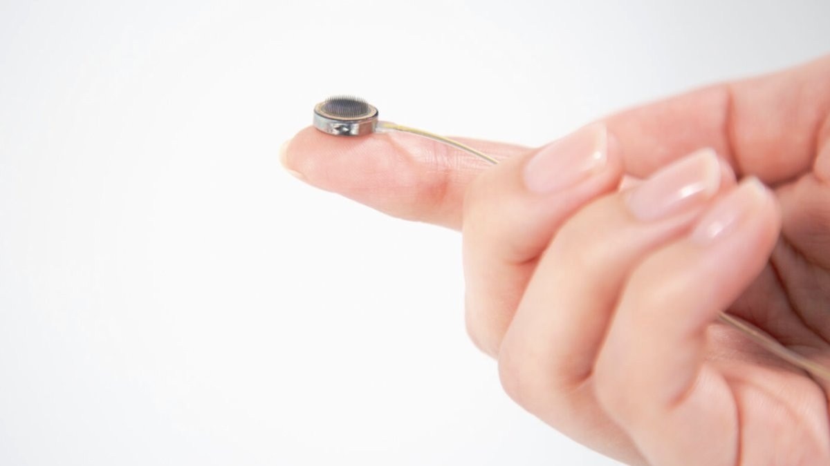 Paradromics implant cerebral parole