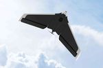 Parrot Disco 02