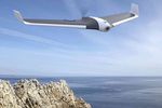 Parrot Disco vignette