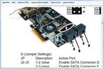 PDF Viewer