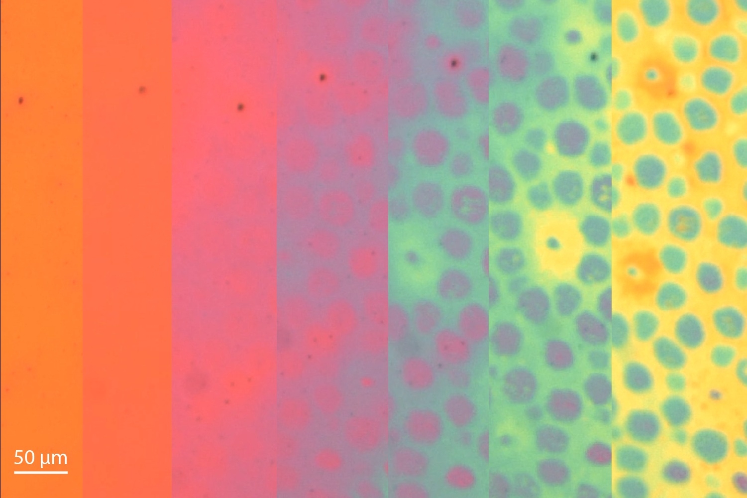 peau synthetique changement couleur