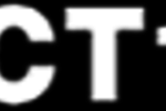 perfect10.com-logo