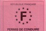 permis-de-conduire-rose