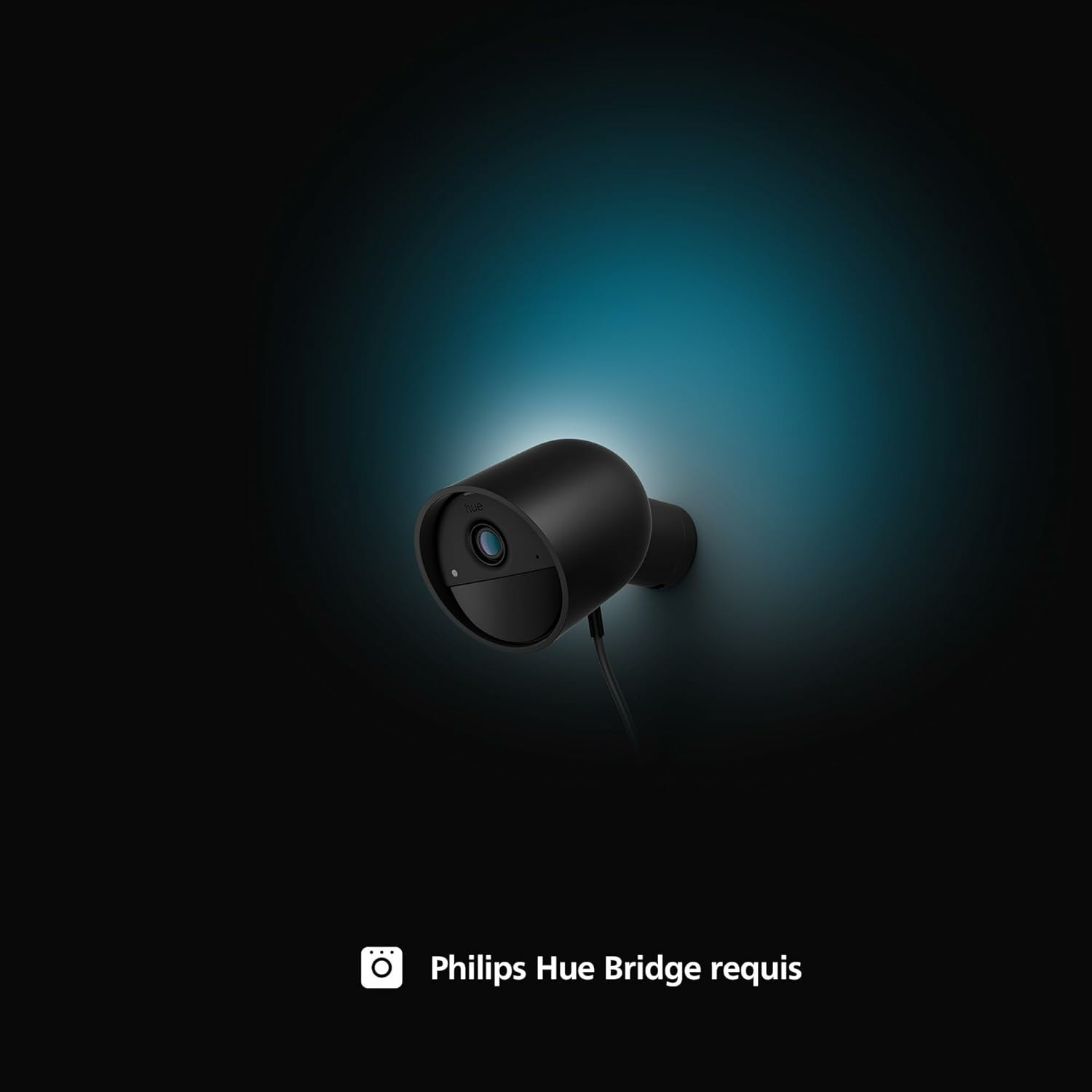 Philips Hue Secure