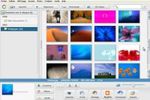 Picasa 1 (Small)