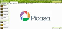 Picasa-Picnik-2