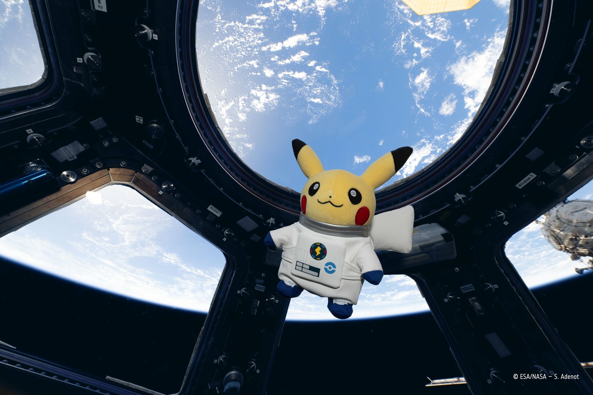 Pokemon ESA_02