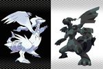 Pokémon Noir & Blanc
