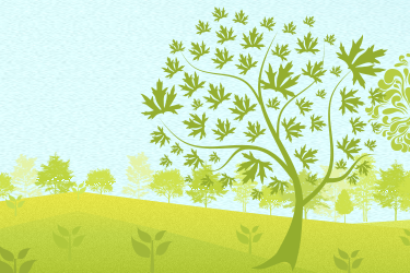 Pornhub-arbre