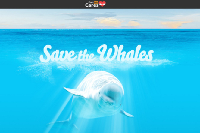 Pornhub-Save-the-Whales