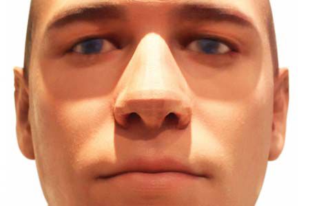 portrait robot ADN