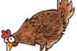 Poulet