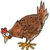 Navia.a : l'autre virus de la grippe aviaire
