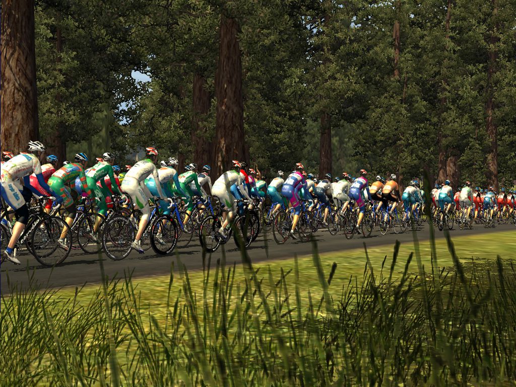 Pro Cycling manager 2008 (7)