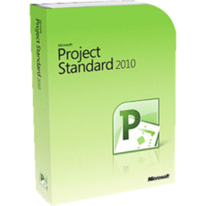 Project standard 2010