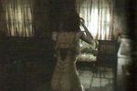 project-zero-wii (4)
