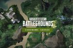 PUBG Savage