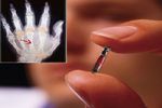 Puce RFID suède