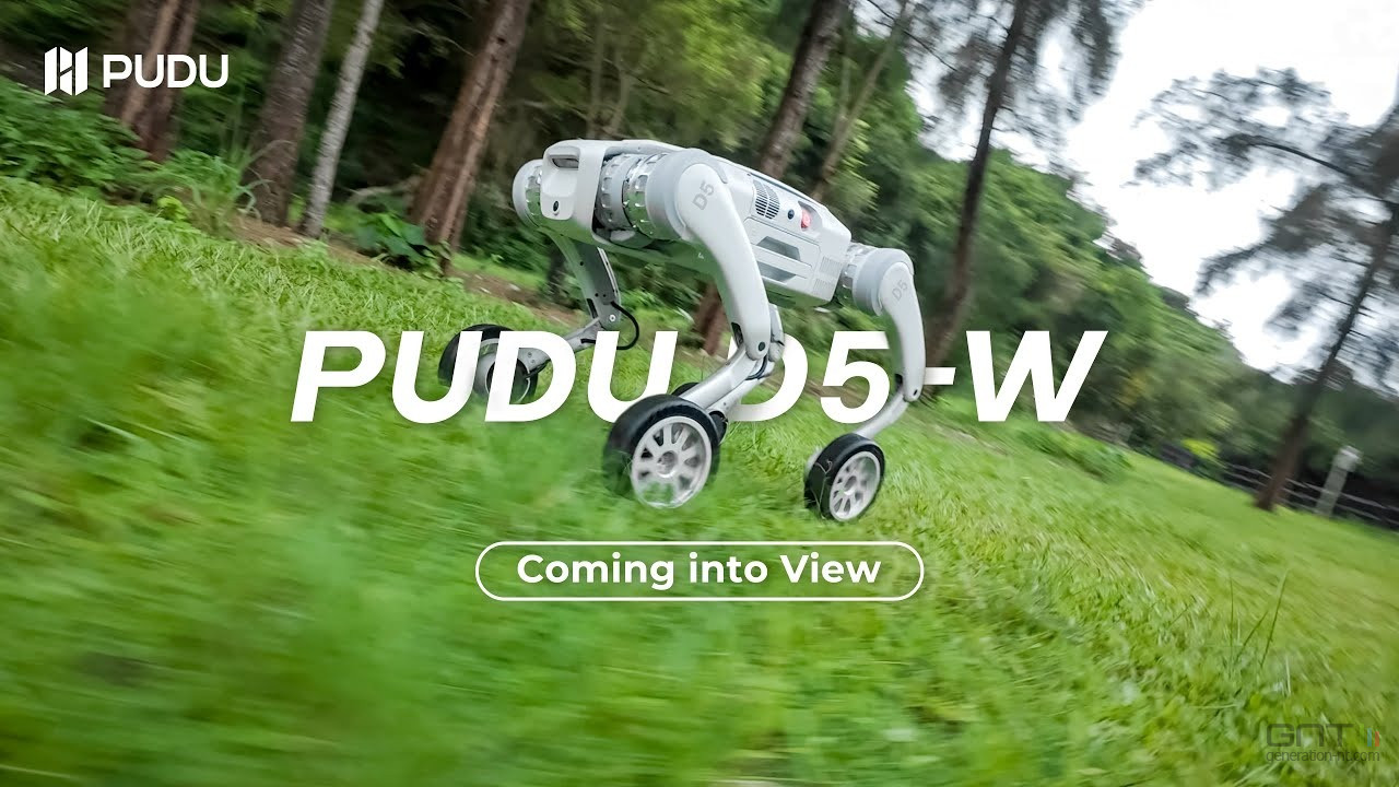 Pudu D5W