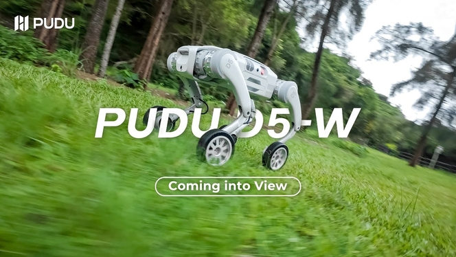 Pudu D5W
