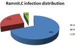 Ramnit-infection