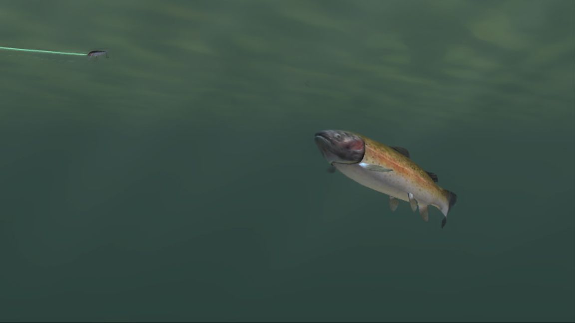Rapala Tournament Fishing Wii.jpg (8)