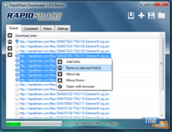 RapidShare Downloader screen