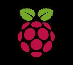 Raspberry Pi (1)