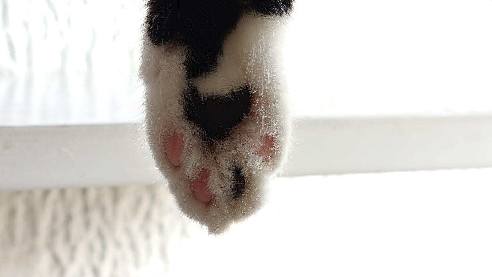 realme GT 8 Pro photo contraste 02