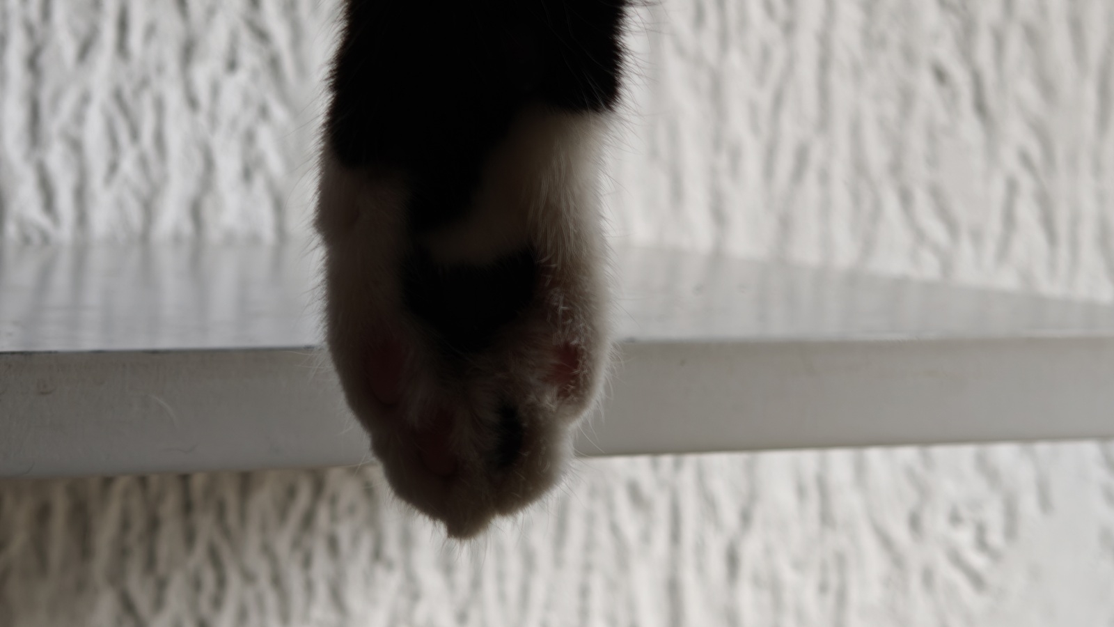 realme GT 8 Pro photo contraste