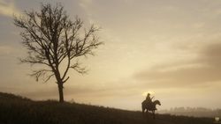 Red Dead Redemption 2_15