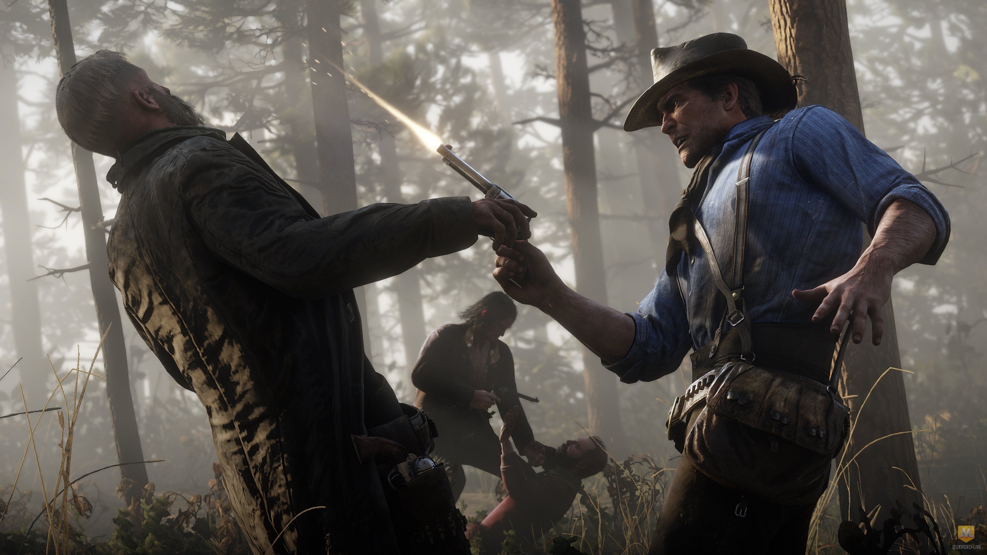 Red Dead Redemption 2_16