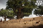 Red Dead Redemption - 6