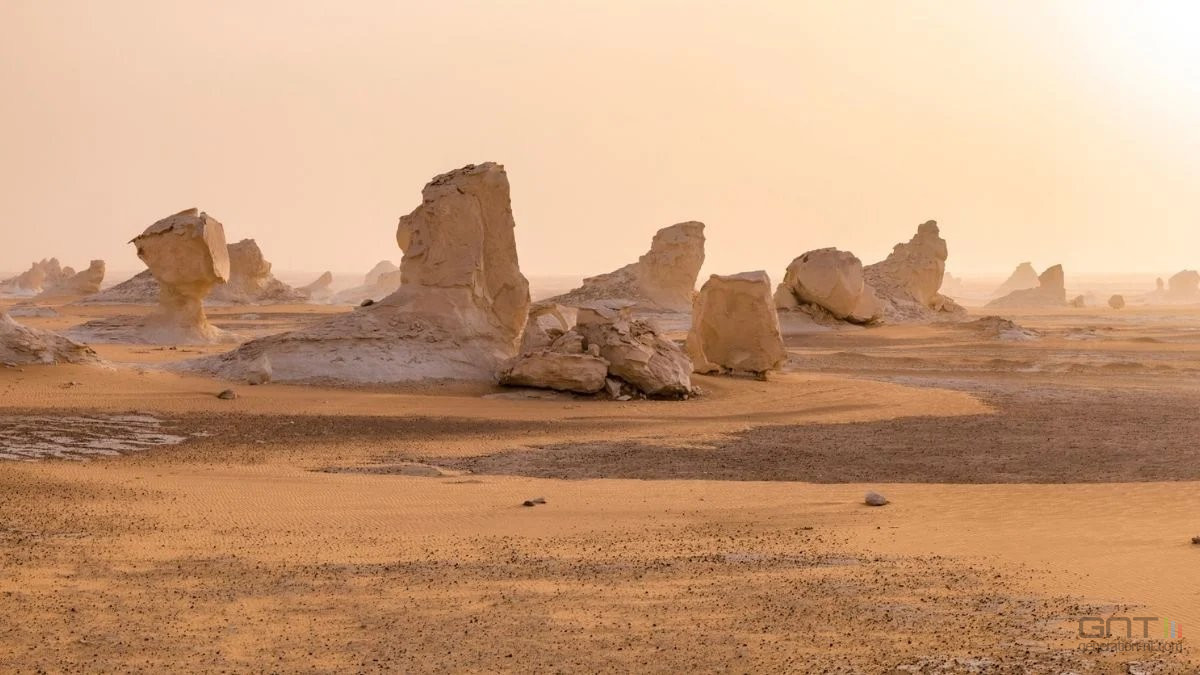 Le désert du Sahara était-il un océan tropical peuplé de requins ?
