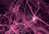 SwiftKey Neural : un réseau de neurones derrière un clavier intelligent